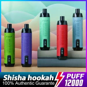 FIHP Shisha Hookah 12000 Puffs Disposable Vape Pen 20ml E-Liquid Rechargeable 650mAh Battery for Wholesale (28)